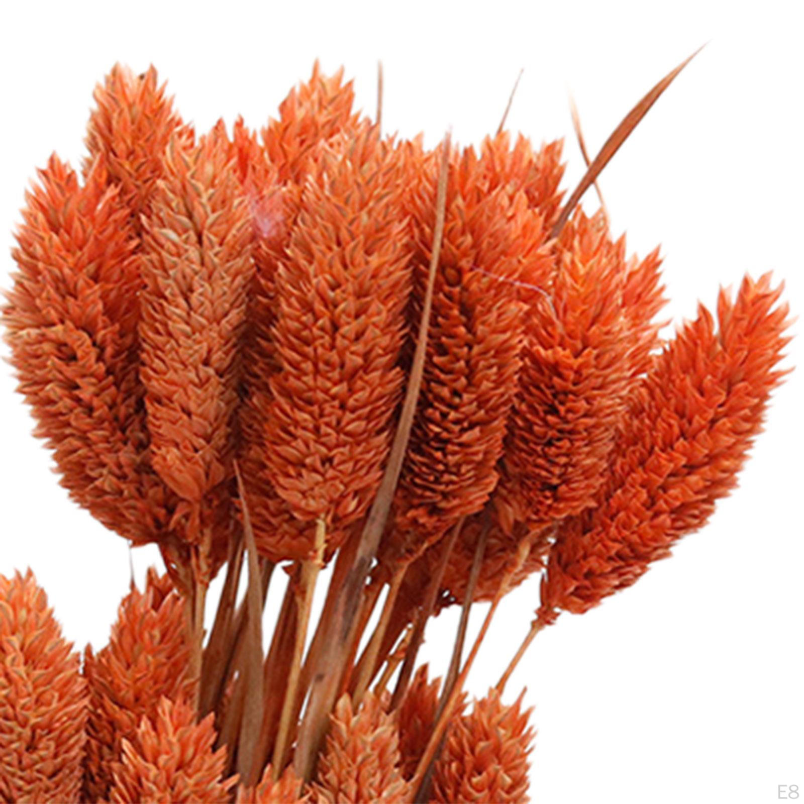 Букет из сушеных цветов — фото 6