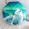 Rauchwolf-Muster, automatisch faltbarer Regenschirm, tragbares und faltbares Design, 8 Speichen, ein Weihnachts- oder Geburtstagsgeschenk.