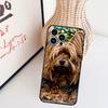 Yorkshire Terrier Dog Phone Case For iPhone 17 Pro Max 16 15 11 13 12 14 Pro Max Mini 15 16 Plus 16e 17 Air Cover