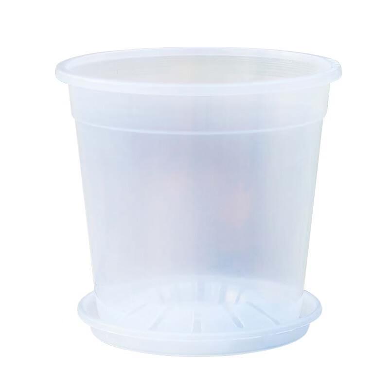 Qingshan Transparenter Orchideentopf zur Wurzelkontrolle