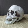 Splendid Human Skull Model Halloween Venue Layout Props, Haunted House Decoration Horror Ornaments, Skulls