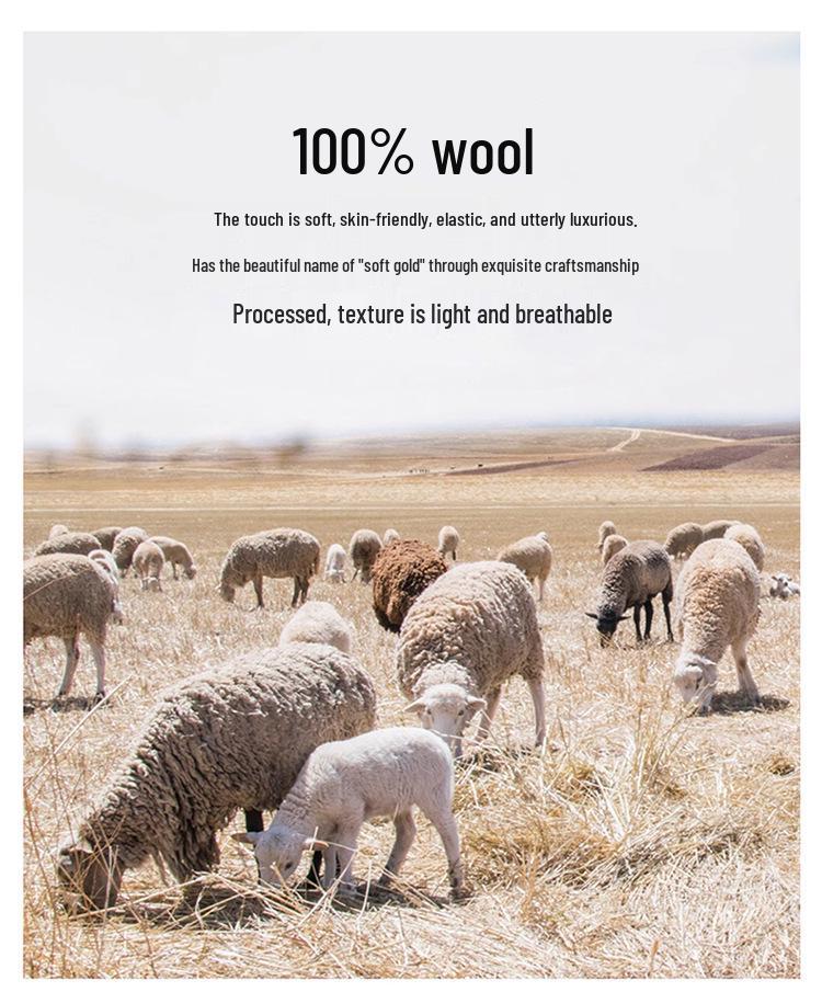 Men's Pure Wool Hoodie - Soft, Comfortable, Long Sleeve Knitwear for Autumn & Winter.