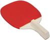 Stolní tenis – Pálky na stolní tenis