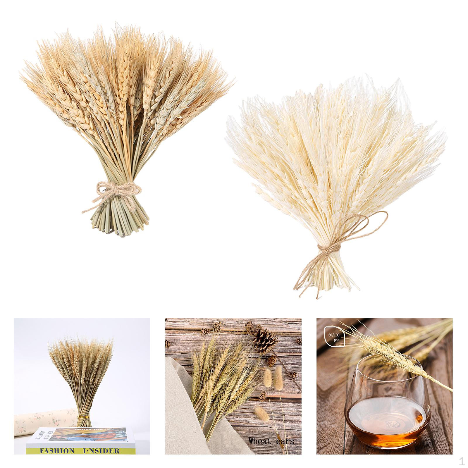 

200 шт. настоящие ушные цветы сушеные цветы украшение свадебной вечеринки