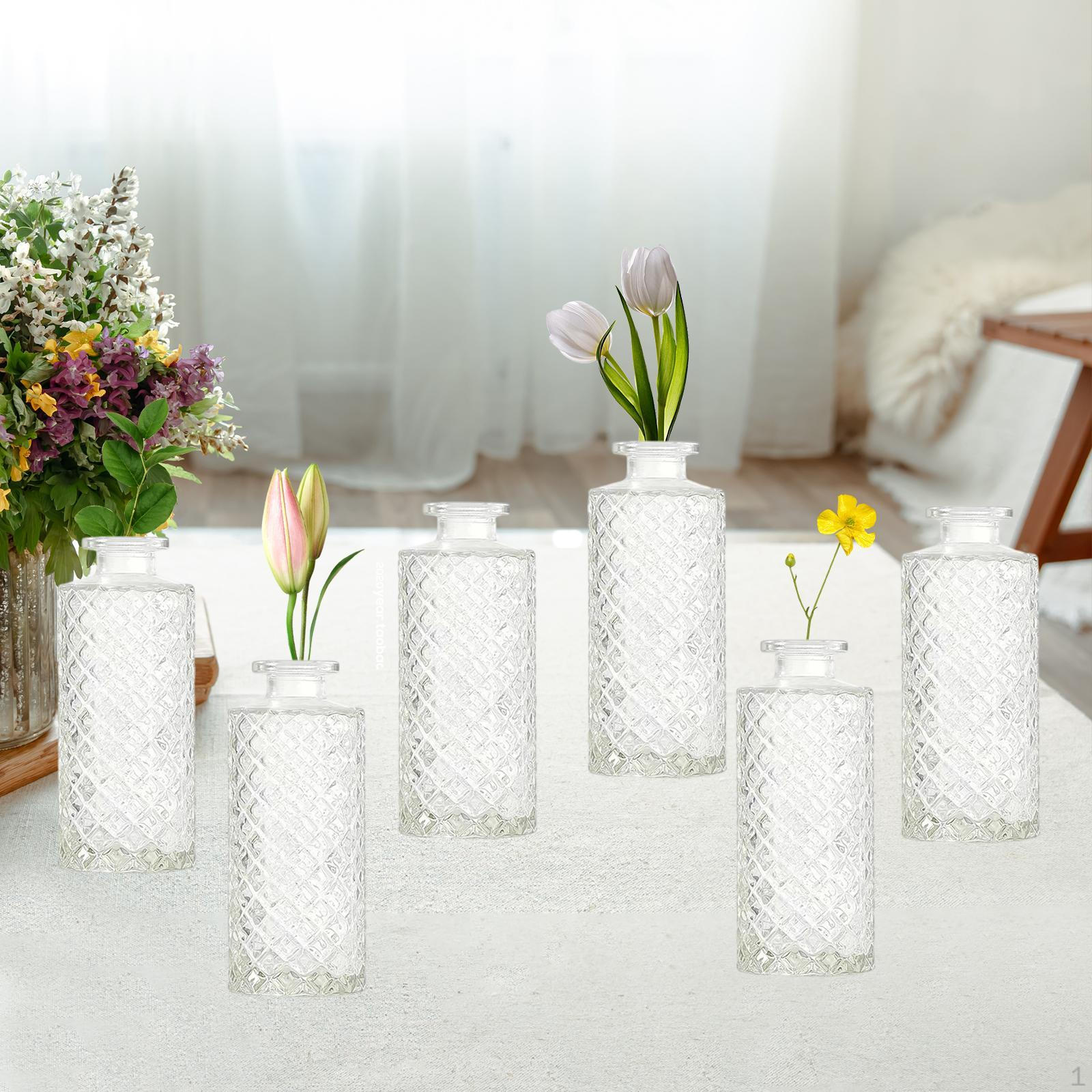 

6 Pack of Glass Bud Vases for Displaying Flowers at Home Transparent