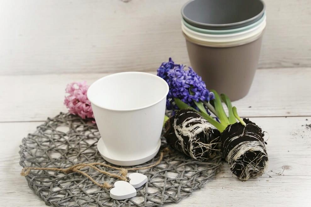 White Plastic Flowerpot Saucer Azalea 13 Cm