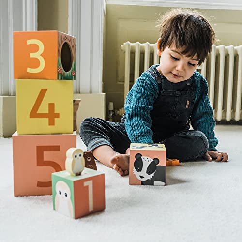 Orange Tree Toys Forest Animal Stacking Cube (18 Months and Up) TYORA12074