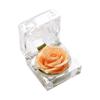 Preserved Real Rose Flower In Clear Box Eternal Rose Scented Forever Rose Flower Present for Women Gifts Mother's Day Valentine Romantic Wedding Home