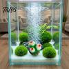 Coral Bubbler Aquarium Accessory Shell, Resin Volcano Air Pump Bubbler, Blister Resistant Fish Ornament Tank Decoration for Shrimp Crab Betta