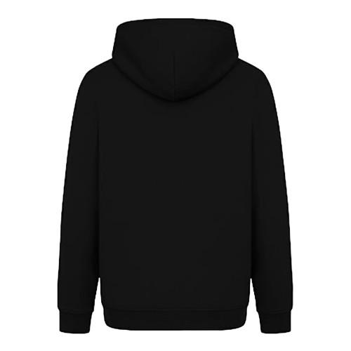 Street Fighter Unisex Adult Ryu Graphic Classic Hoodie