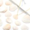 40g/lote Cuentas Blancas con Forma de Concha de Vieira Para Hacer Joyería Cuentas Espaciadoras Sueltas Amuletos Hechos a Mano DIY Accesorios para Pulsera Collar