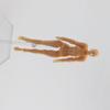 Action Toy Human Postures Man and Woman Drawing Figures Human Mannequin Figure Model Action Figure