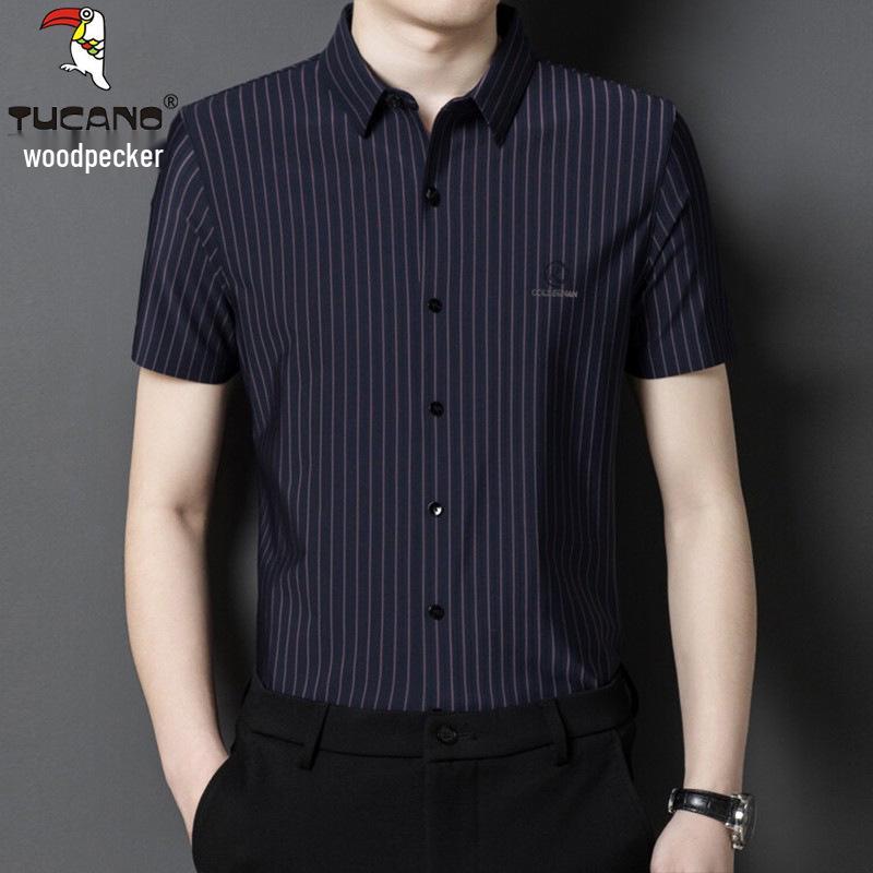 Woodpecker Men's Iron-Free Striped Long Sleeve Shirt – Wrinkle-Resistant, Elastic, Casual Wear for Middle-Aged Men (Spring/Autumn)