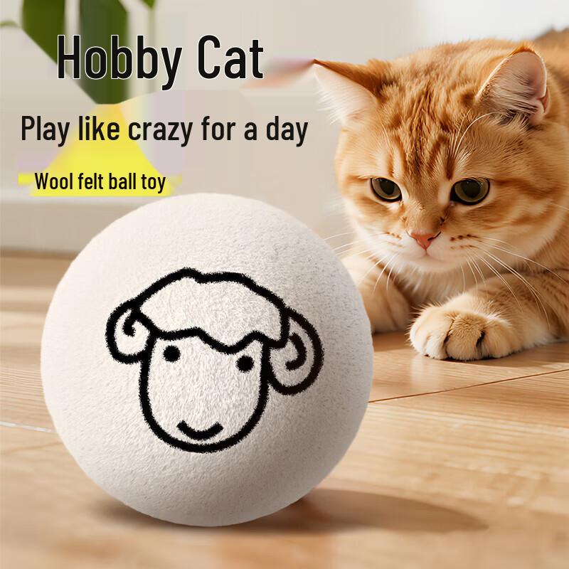 Hanhale Cat Wool Ball Toy Set