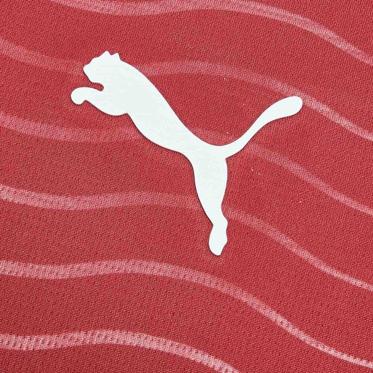 Pánský fotbalový dres PUMA Portugalsko Národní tým Fanouškovská edice Pánský
