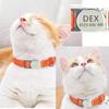 Reflective Nylon Cat Collar with Engraved Metal Buckle