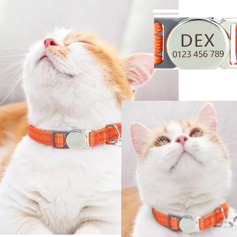 Reflective Nylon Cat Collar with Engraved Metal Buckle