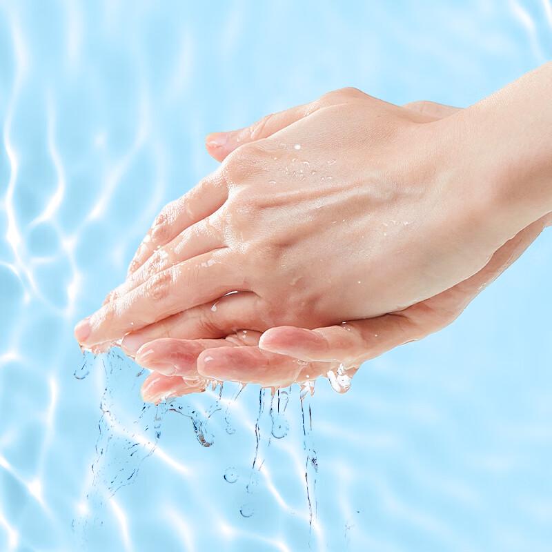 Lanjv Bulk Hand Soap Refill with Pump