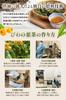 by a Doctor and a Registered Saiwa Shoten Loquat Leaf 70 Tea Loquat Leaves from Tokushima Loquat Healthy Tea Tea [Supervised Dietitian] Tea, Bags,