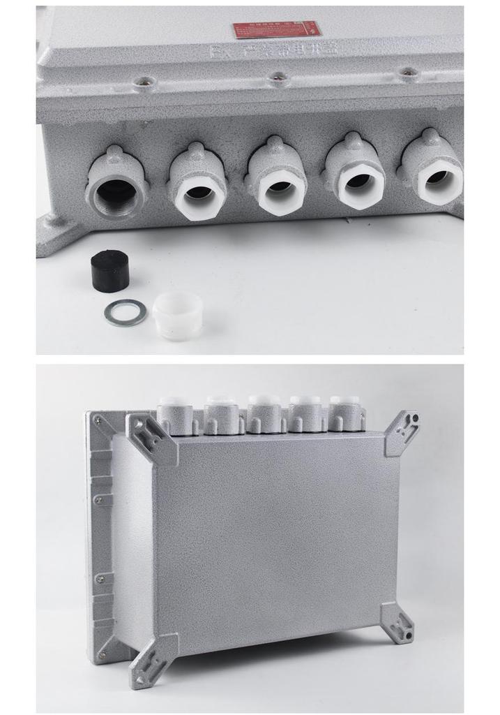 Explosion-Proof BXJ Flameproof Junction Box for Instrument Terminal and Power Supply Control