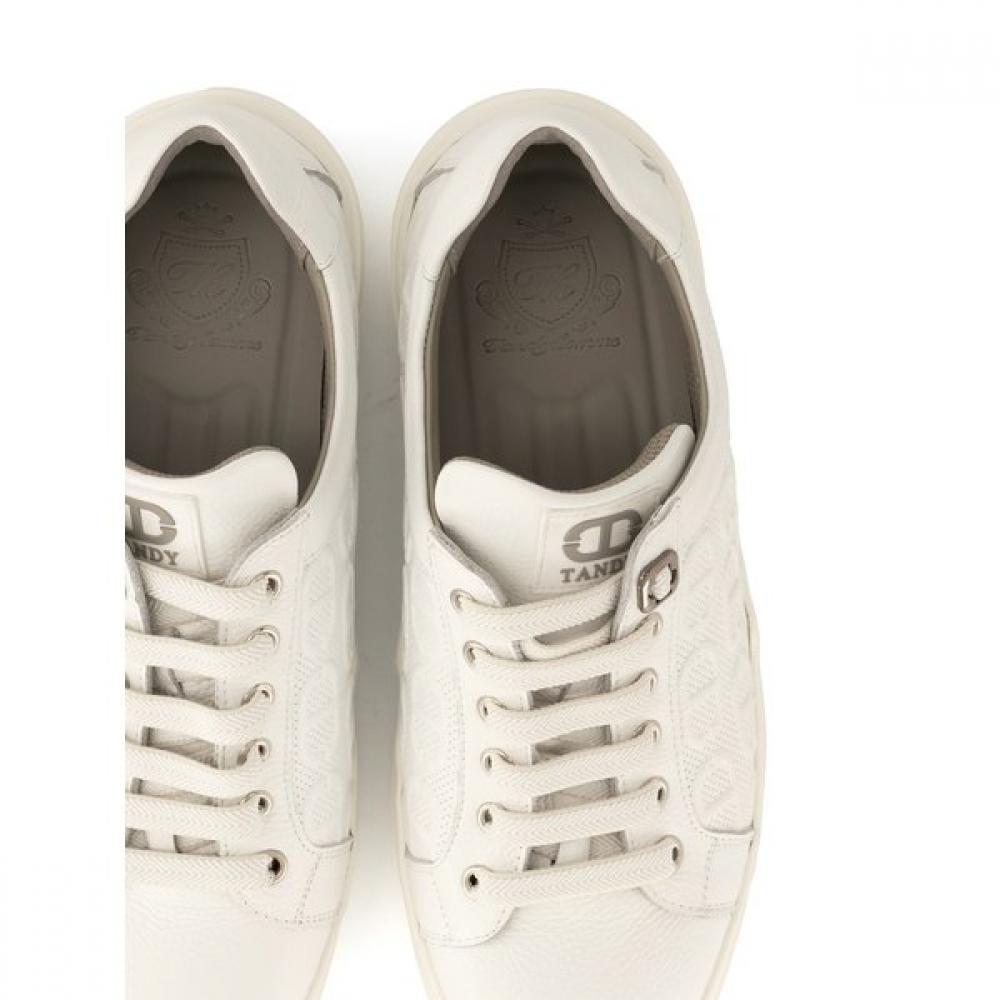 Tandy Herr Sneakers C 801