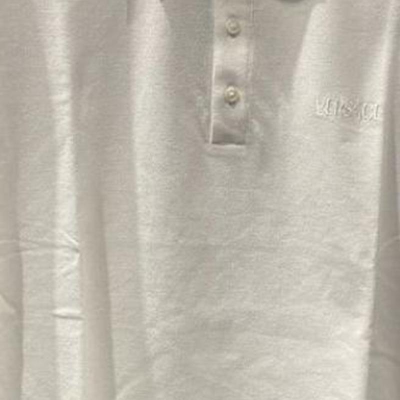 Versace SS24 Letter Embroidery Straight Cut Casual Short Sleeve Polo Shirt Men Polo Shirts White 1011851-A231377-2W110