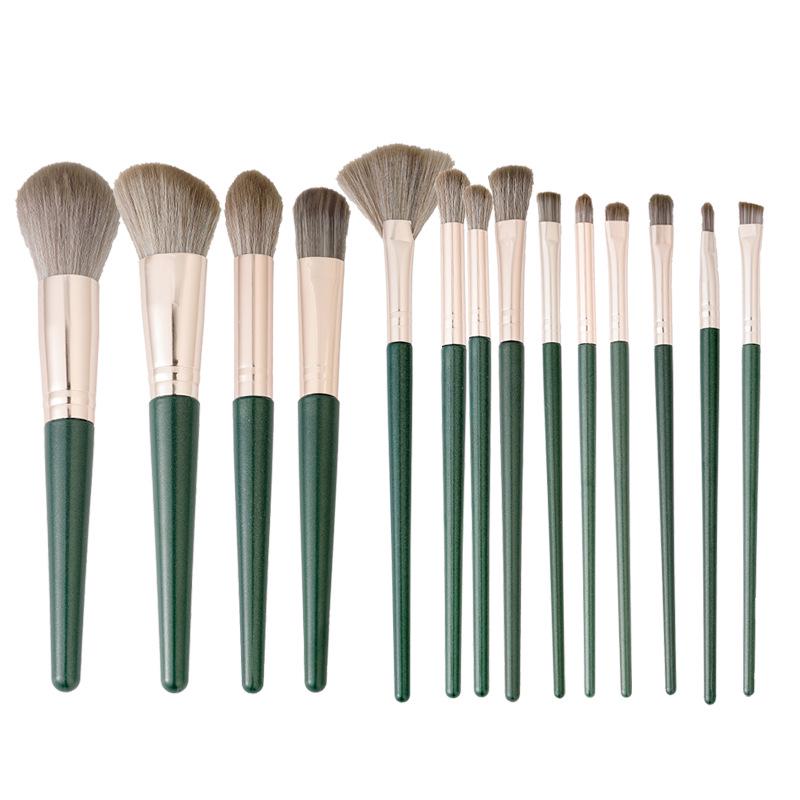 Cangzhou Lvyun 14-Piece Makeup Brush Set: Includes Eyeshadow, Foundation, Concealer, Blush, Tube, and Contour Brushes.