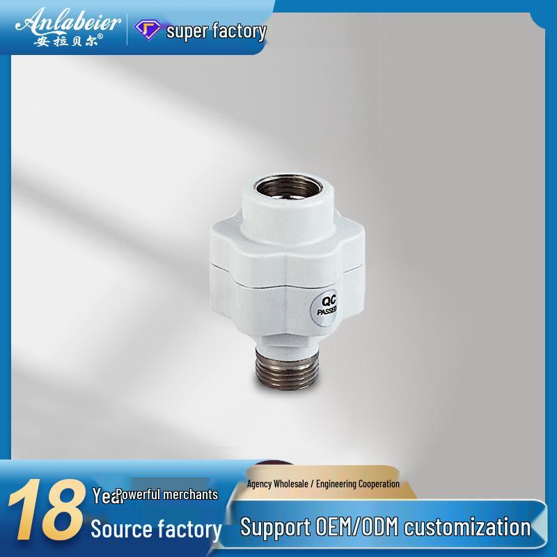 Universal Copper Electric Water Heater Anti-Leakage Device with Isolation Wall and Copper Head