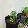 Senjing Colorful Root Control Non-Woven Planting Bag for Trees and Flowers