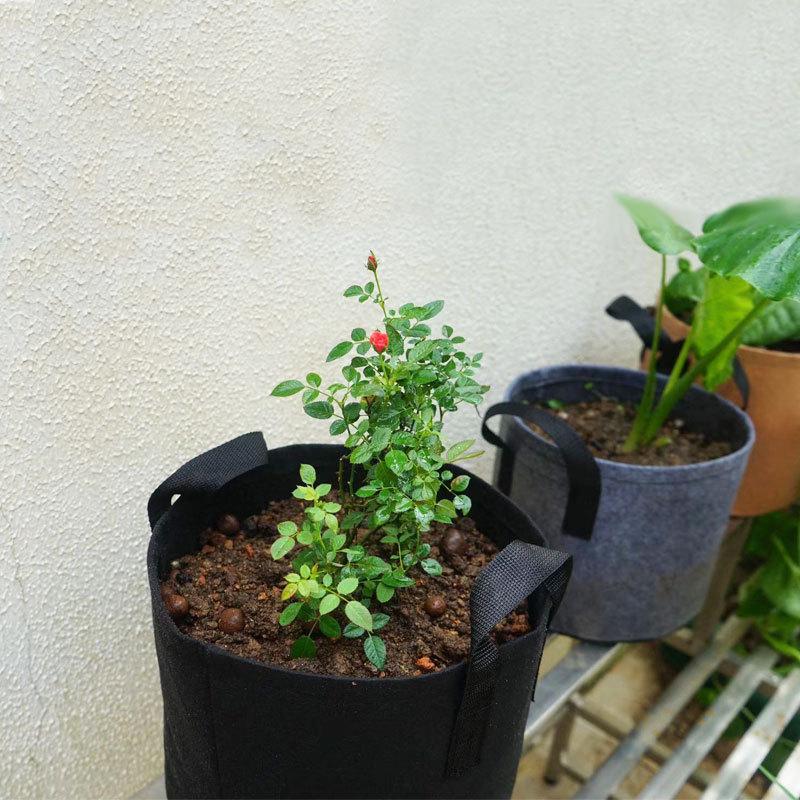 Senjing Colorful Root Control Non-Woven Planting Bag for Trees and Flowers