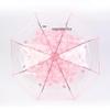 Nan Qiao Automatic Transparent Daisy Foldable Umbrella