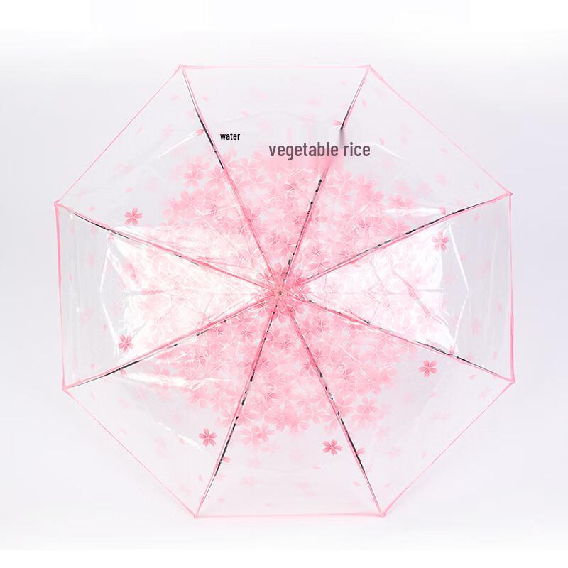 Nan Qiao Automatic Transparent Daisy Foldable Umbrella