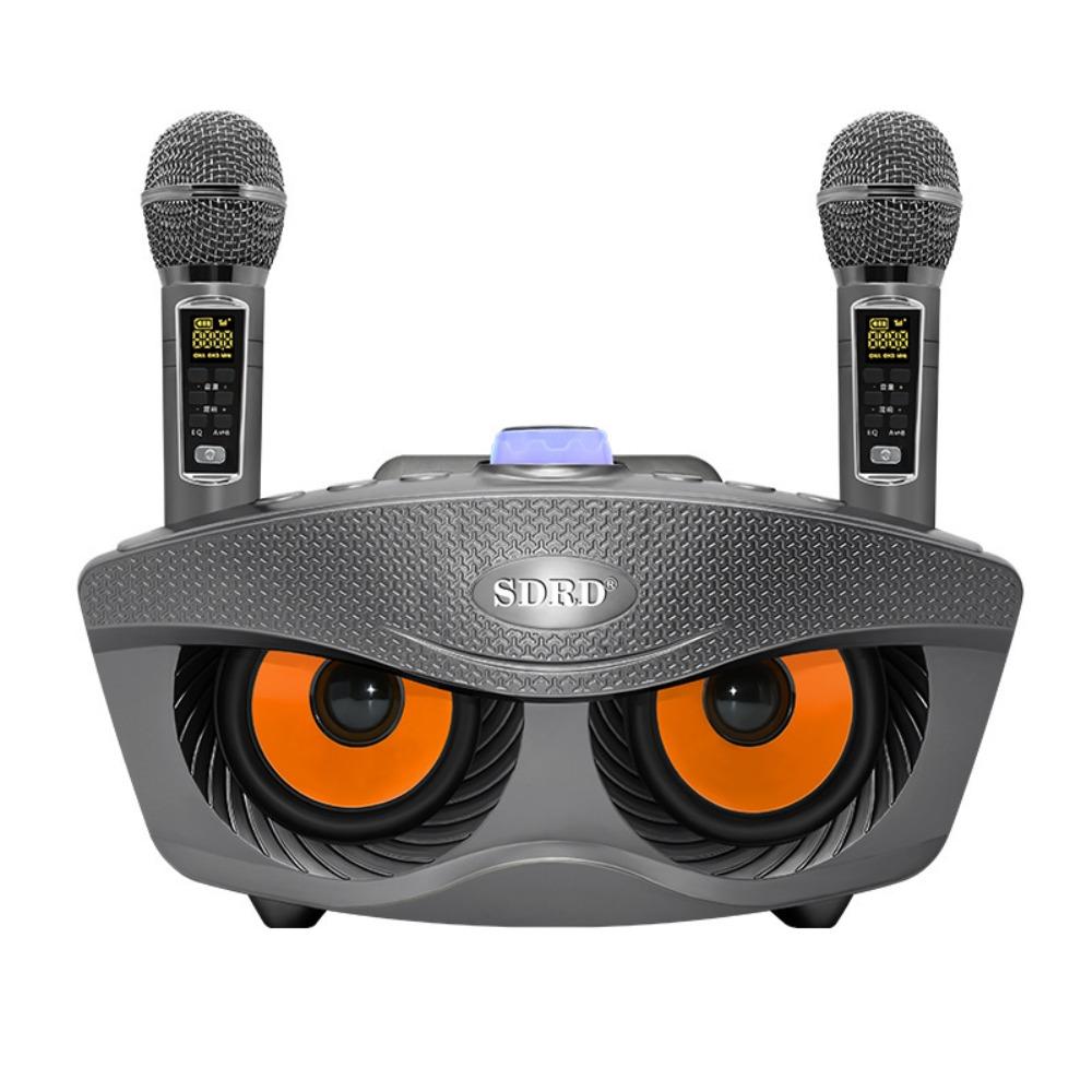 SD306 Dual Microphones Speaker Dual Microphones Karaoke Player Wireless Bluetooth Speaker  Karaoke