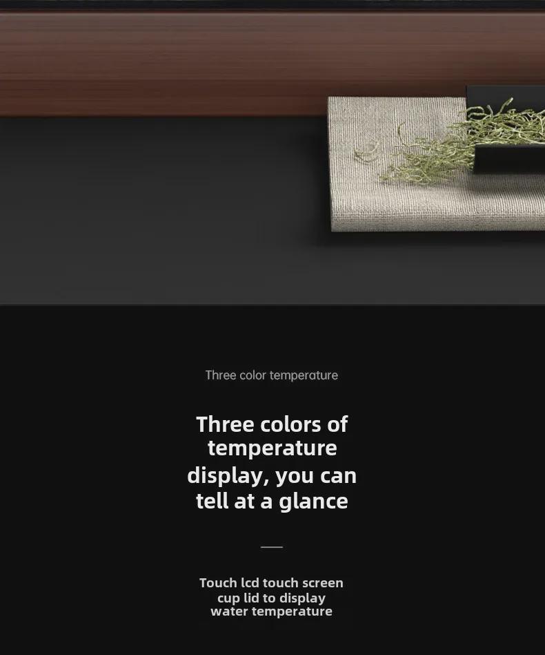 Tragbare Herren-Thermoskanne mit Tee-Sieb und intelligenter Temperaturanzeige - 316 Edelstahl Wasserbecher