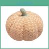 Macaron Color Pumpkin Plush Pillow With Soft Short Hair For Home Decor And Halloween Gift
