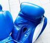 PRIZE RINGPrize Ring Boxing Gloves “Professional SS Blue 8oz