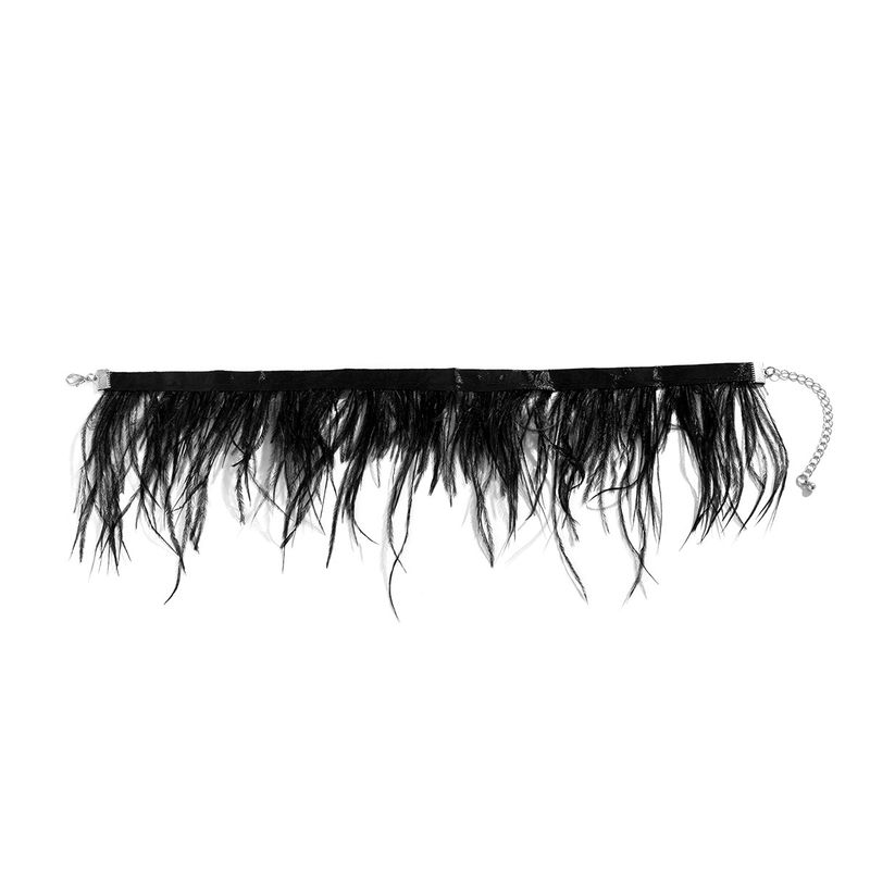 

Pure Desire Style Feather Necklace Choker Collarbone Chain European and American Winter Fashion Niche Design Matching Dress Accessories Black