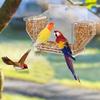 Squirrel-Proof Window Birds Feeder with Suction Cup Bird Feeding Trays  Parrot Parakeet