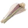 100pcs Mixed Dried Pampas Grass Bouquet Bunny Tail Pampas Reed Grass Home Decor Table Centerpieces