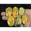 32-45MM Natural Bumble Bee Jasper Oval Cabochon Loose Gemstone 06Pcs Lot C-103