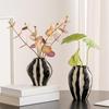 Decorative Vase for Indoor Plants, Flower Display for Living