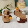 Handmade Capybara Crochet Kit: Beginner-Friendly DIY Wool Animal Pendant Set