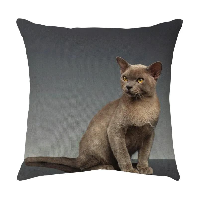 Cute Cat Pillowcase Car Ornaments Living Room Office Home Pillowcase