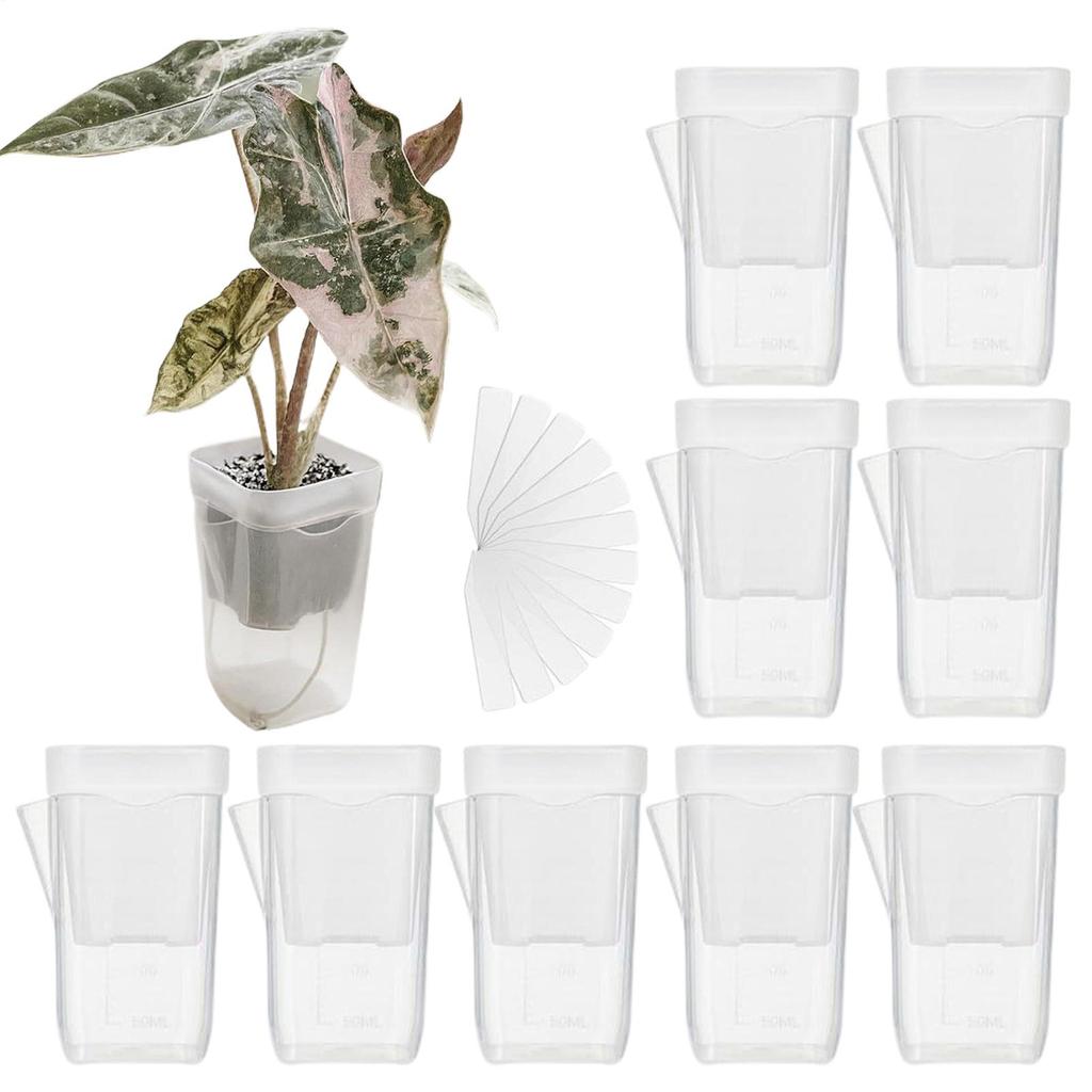 10pcs Self Watering Planter Mini 2-inch Self-priming Flower Pots With Drainage Holes Dry& Wet Separation Bottom Watering Pots