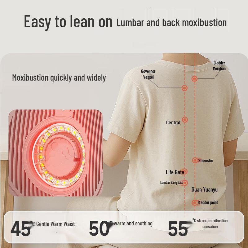 Senbaiwei Xiao Kaoshan Lumbar & Back Hot Compress Massager CN plug (adapter included)