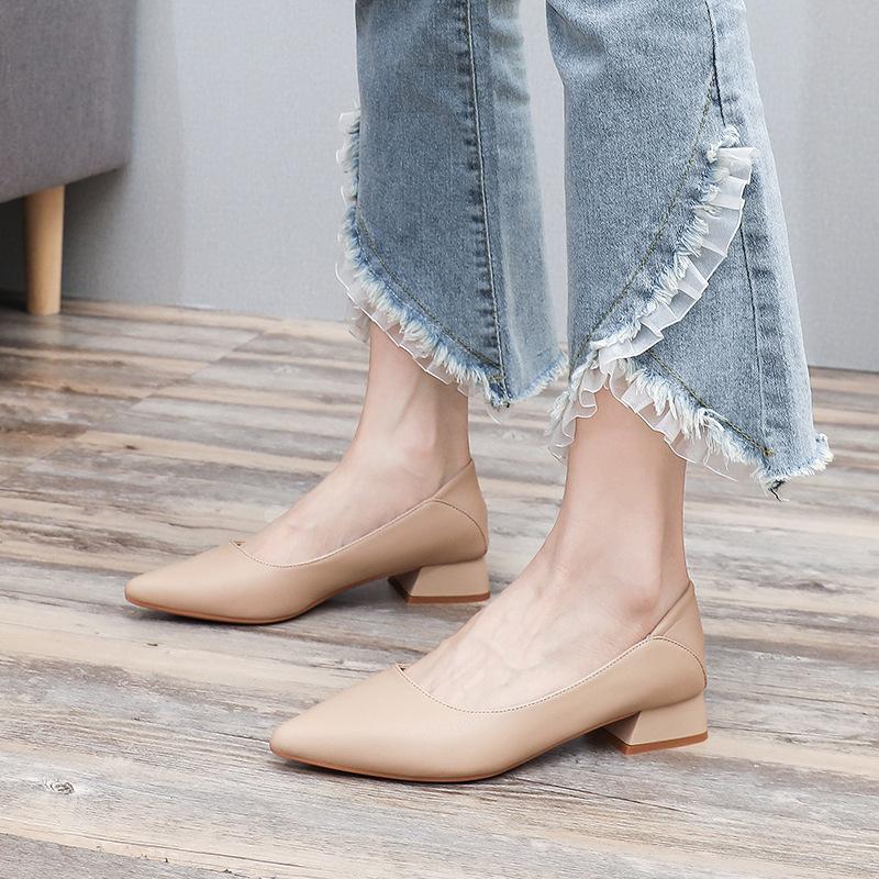 Thick Heel Low Heel Single Shoes Women's Spring and Autumn Style Temperament Pointed Work Shoes Are Not Tired Feet Shallow Mouth Middle Heel Commuting
