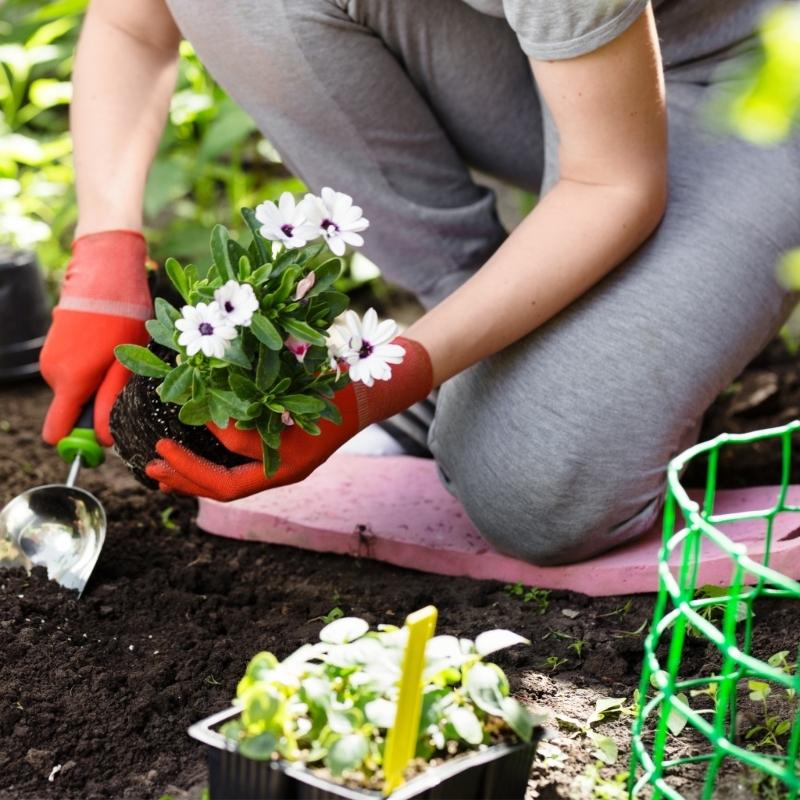 2Pcs 20m Plant Tie Green Plant Wire Suitable for Tying Climbing Roses Plant Support Garden Soft Thick Binding Wire