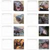 Calendar Creative Cartoon Hippopotamus Ornament Cute Desktop Decoration 50 Page Copperplate Paper Calendar Practical Date