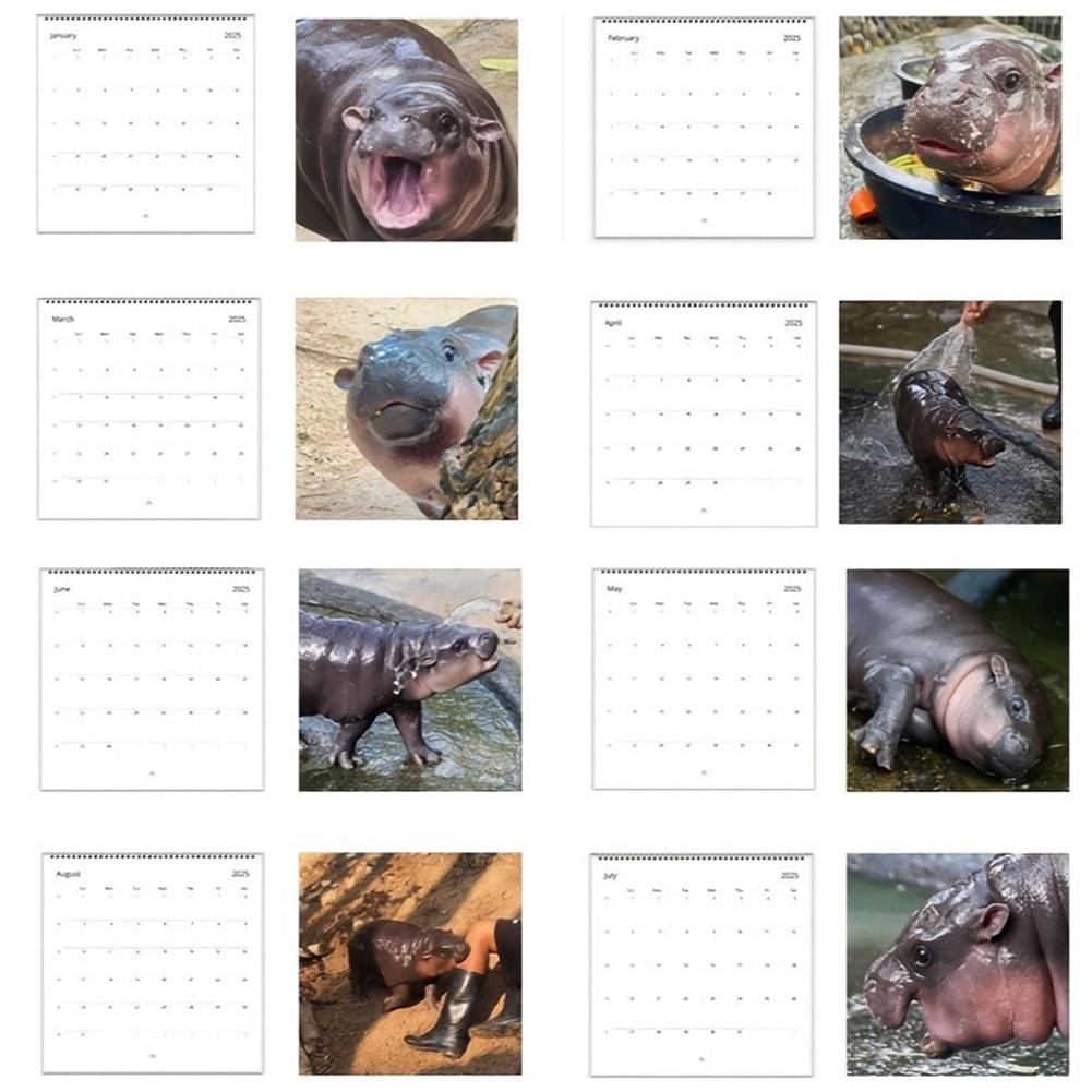 Calendar Creative Cartoon Hippopotamus Ornament Cute Desktop Decoration 50 Page Copperplate Paper Calendar Practical Date