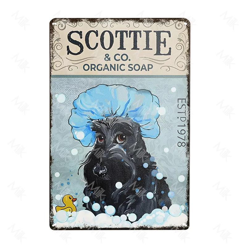 Funny Pet Schnauzer Dog Shop Art Metal Tin Sign Wall Poster Iron Painting for Bathroom Toilet Laundry Street Sweet Home Decor